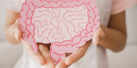 a child's hands holding a diagram of the digestive system